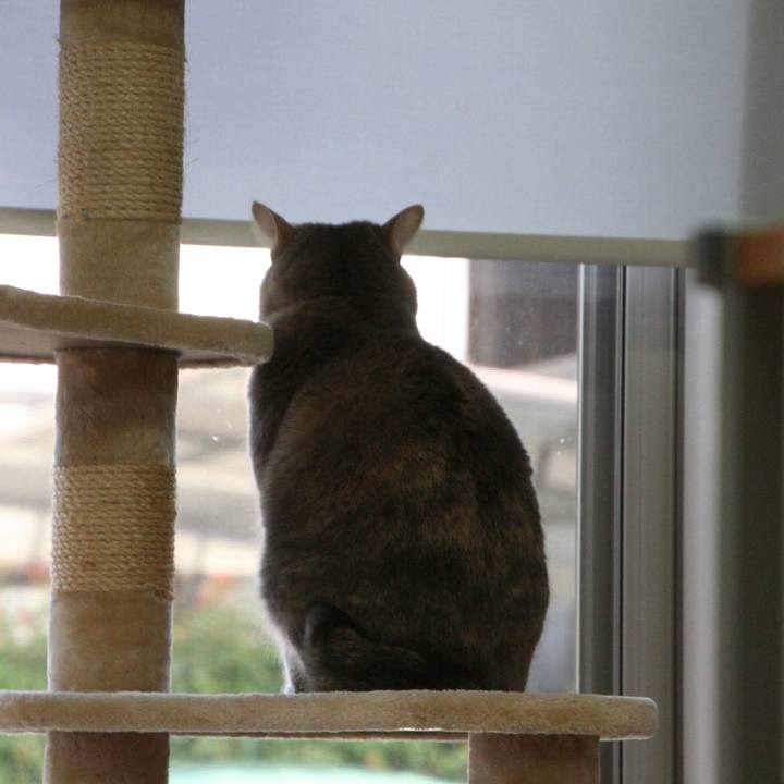 088c59f4 ac83 4509 aa47 eeb1753629aa 1539306454272