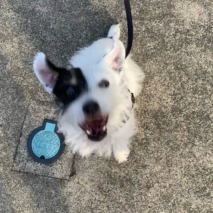 088c9f3a 1350 45ff 9e43 e0a3a31e679d 1697583657572