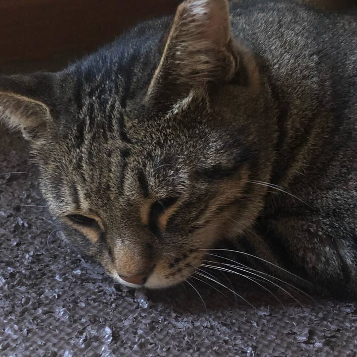 088cb783 1bd6 4be1 bc96 216eca7e4e19 1599310304951