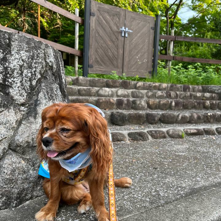 088cc2a2 2d24 40d7 96db 5ce5d20bd018 1657322621026