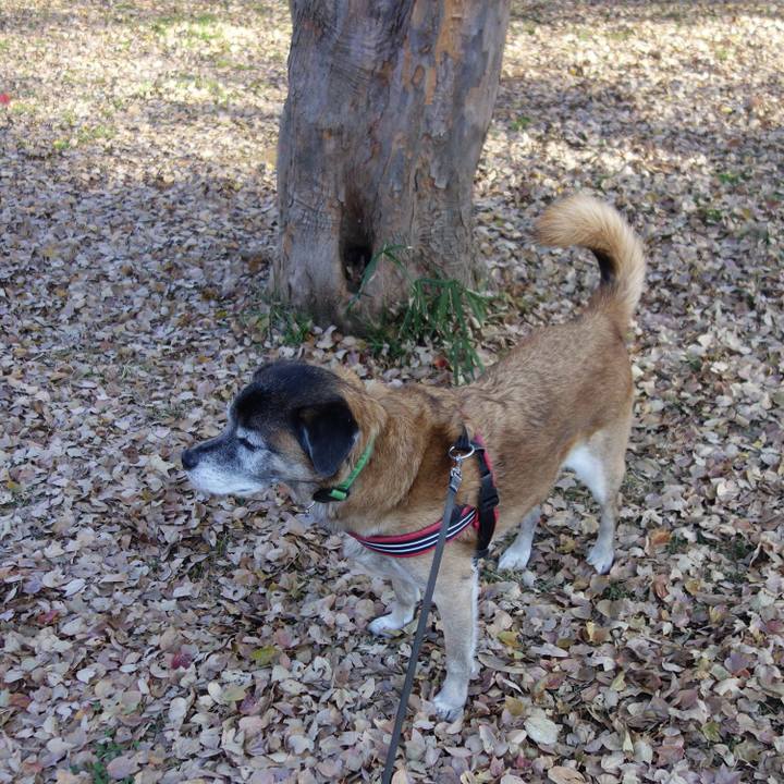 088cecd3 41ef 4fe0 8a82 0134bddda957 1543021136855