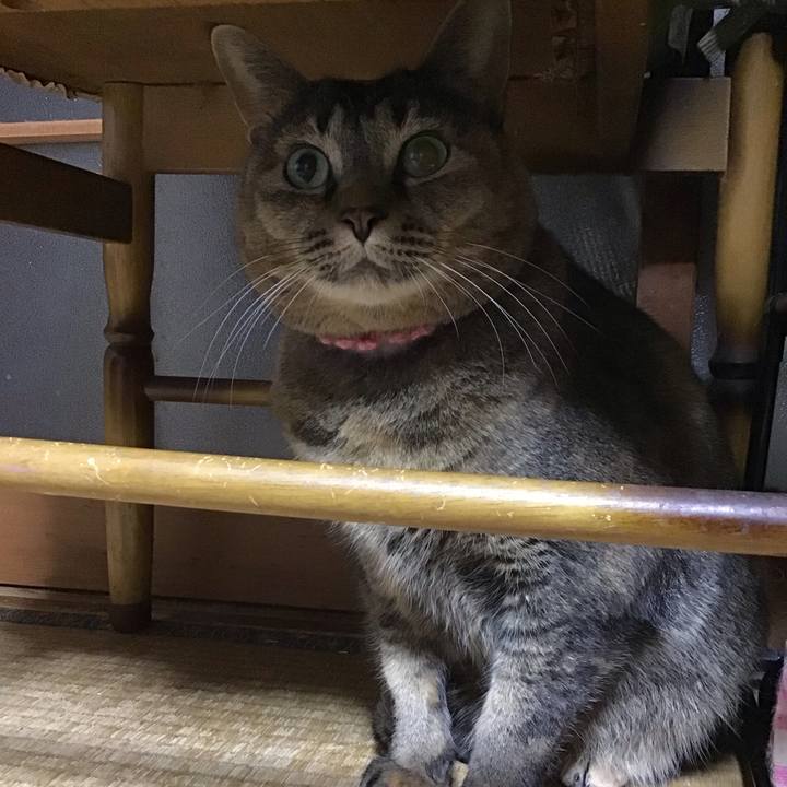 088d5740 13bc 4b83 920e fdfe6e3d150d 1734082522641