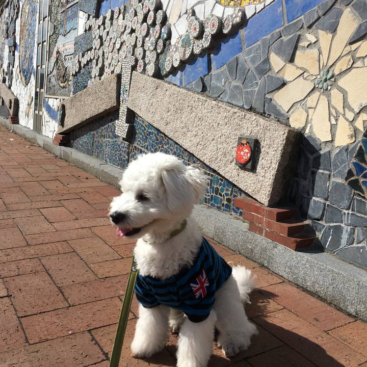 088d6fe6 5d9c 4d6b acf4 79b3df37b21c 1509501597512