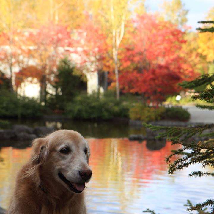 088df3cb e47c 455a b6fb d431f5832b3b 1761649952626