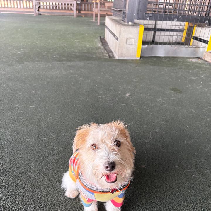 088e13b4 91a8 44d8 b3b7 00bcd95a2f31 1772858663409