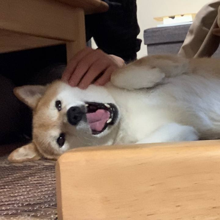 088e1e69 6e0c 4496 8888 ce1c672c5323 1589113424819