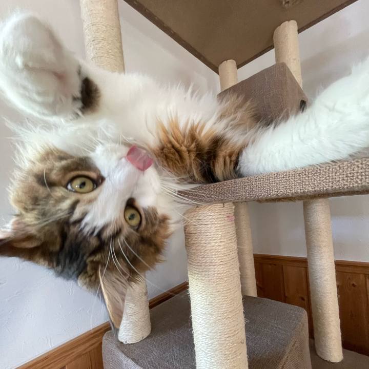 088e1e7e 30c1 48cd b9cc e445d78fa5c7 1654638483687