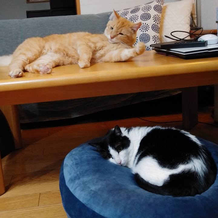 088e320e 3df7 49ab 9860 62a03a644160 1595504965653