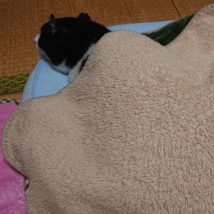 088e554c fea6 4853 9f63 068716f8ff49 1562504886701