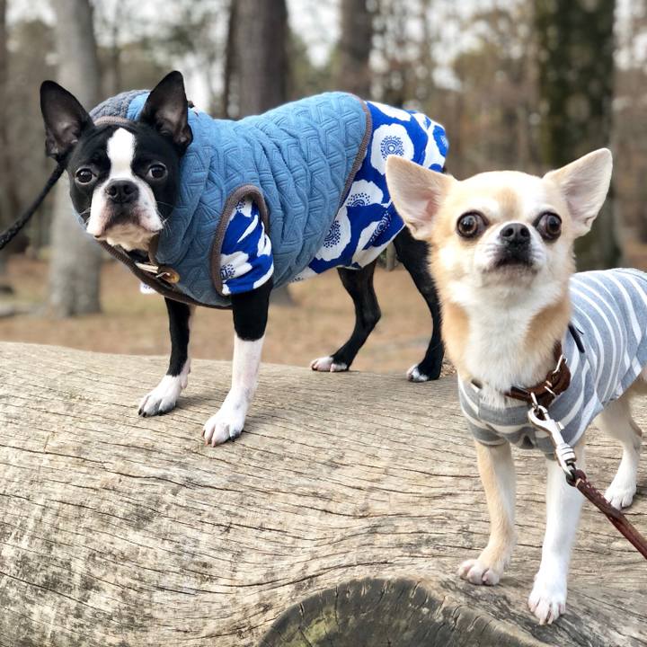 088e5786 0956 4f0d ac04 ccd6ed8ae7c8 1517479939032