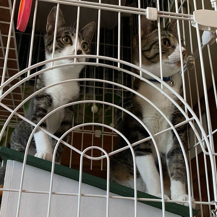 088e83c8 0bd1 4739 a316 99c6a764cf4b 1693817942589