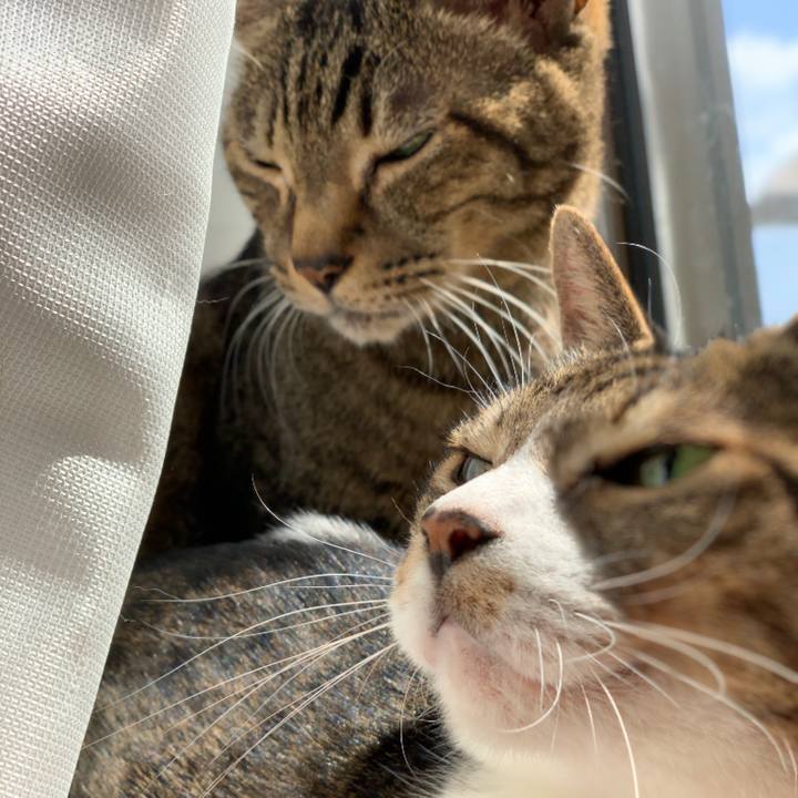 088e91ec acef 41ab 92ee bec0b26912a3 1551056267303