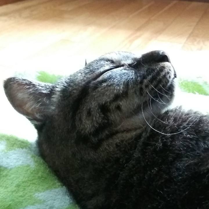 088e96c9 da0a 478f b486 ffa69b5533cb 1627710496648