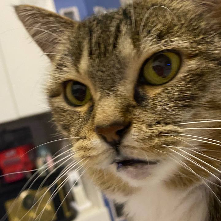 088ea660 613b 4c79 92e7 4ce32b947aab 1643807943174