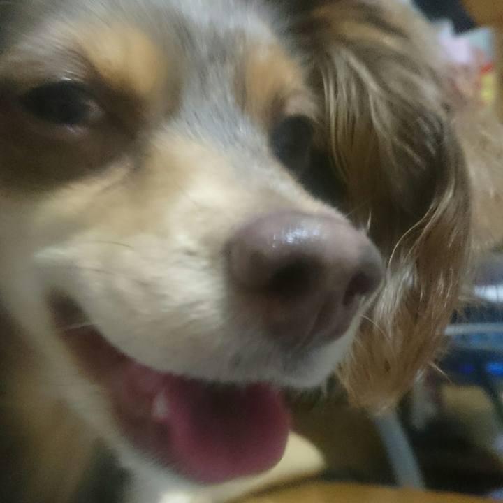 088eb443 fa18 4f8d 9355 c5c785ebbdfc 1521545898589