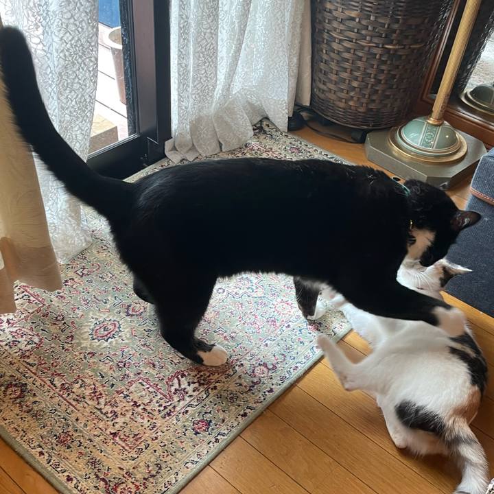 088ebb81 f0ba 4ca9 96eb 339665177cfb 1726277679897