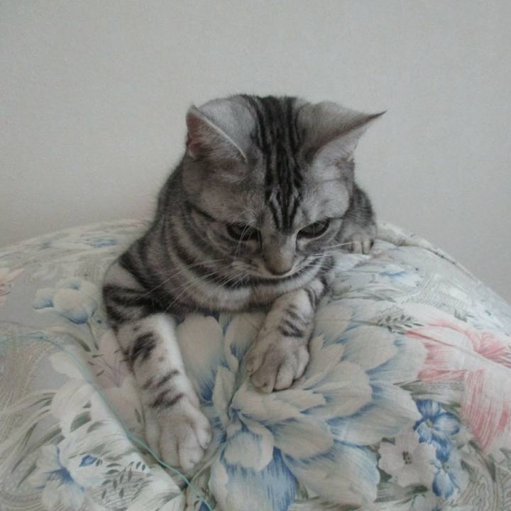 088ee541 7a8c 4c4d 9f4a bcc6823d29e4 1554109853717