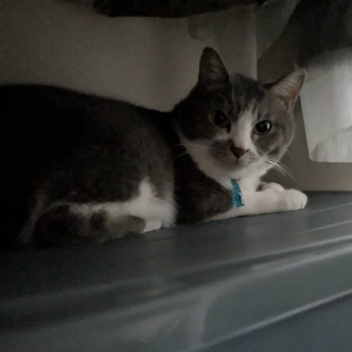 088ef3ee 12df 420f 84fa e01c85074198 1754623767445