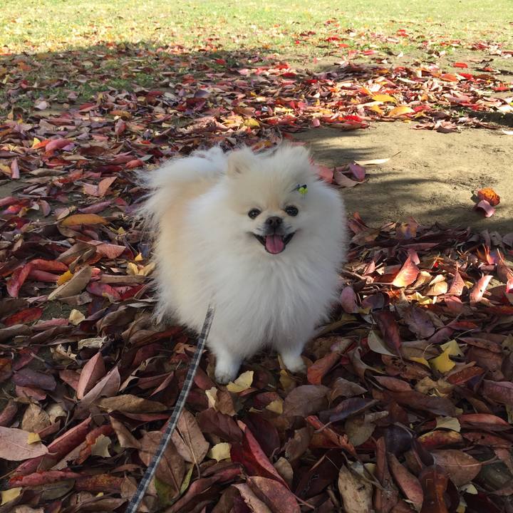 088efe52 585f 4468 add1 645eefe938b9 1606099045163