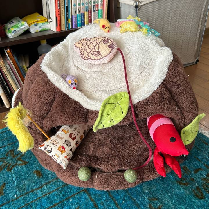 088f1322 2ce6 44ed b440 85cbee5ff52c 1735266141140