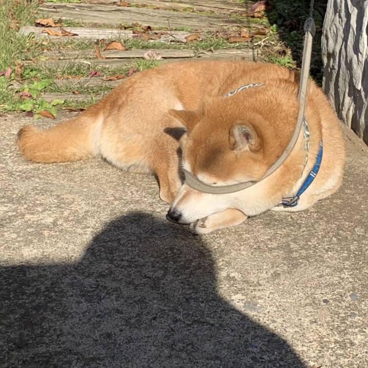 088f21b7 6105 4617 867f 1c043c22090d 1543290070139