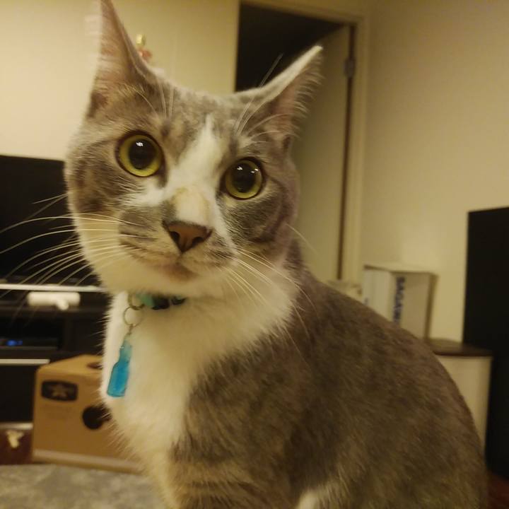 088f3bbd e3dc 433d b863 b5737a097550 1592229266493