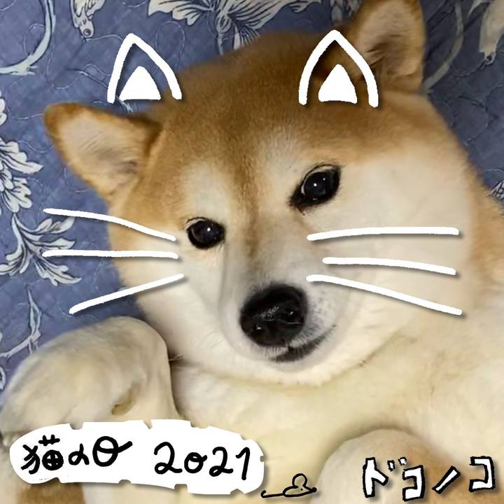 088f4d33 309e 48b0 838a 22a70d5c4f54 1614036737935