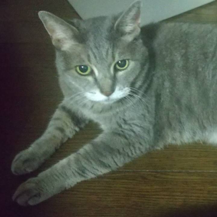 088f5c48 cc88 4f6e b26f 44bd33eac9b0 1661355296807