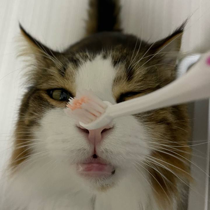 088fd793 ec4a 4c0e 897a d702c78cfc5a 1730147871118