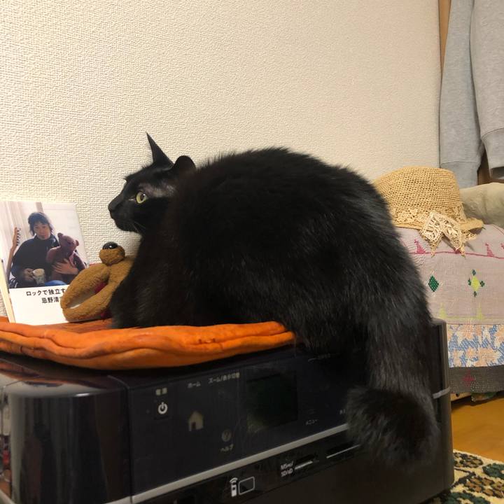 0890070d 1c0a 499e 8199 33d219db77df 1557153028535