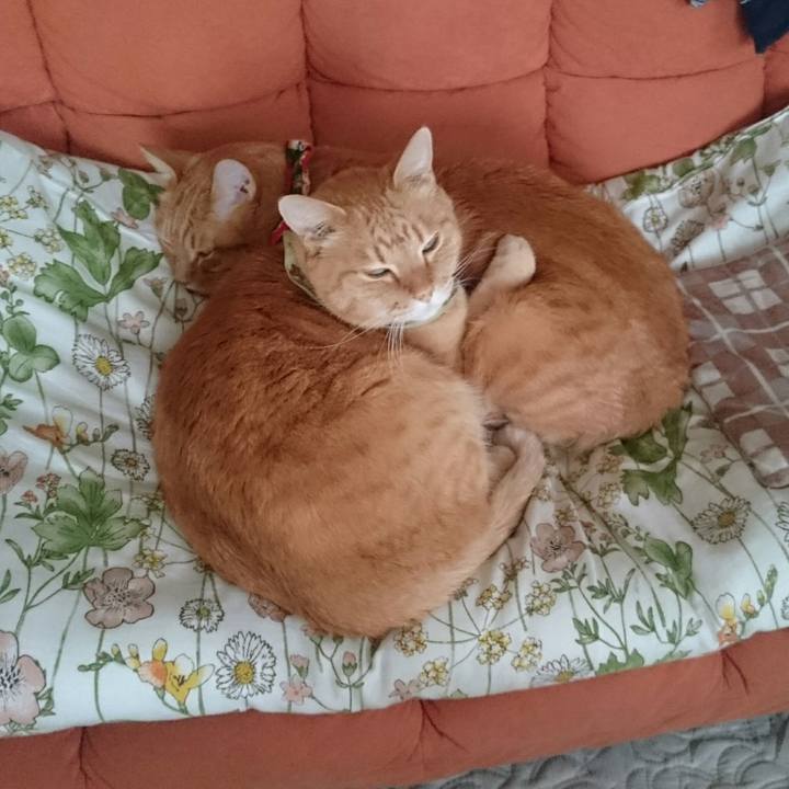 08901afa 162d 4b48 abf7 70f8aa21b9e1 1519531427935