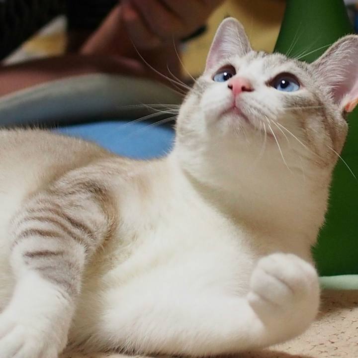 08901d25 0606 4166 838c 5e5c18fbe7bb 1535809808378