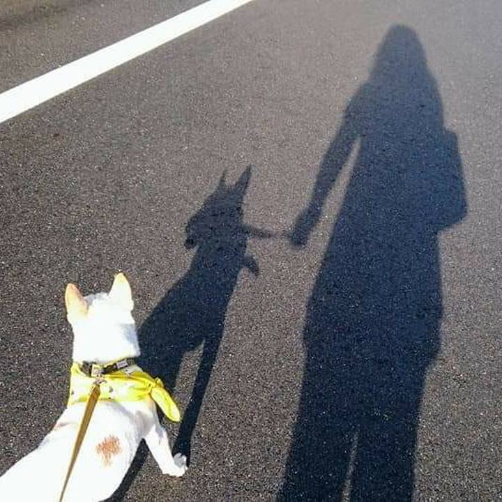 089025ad f070 423d 929c c959d1d19160 1626110459216