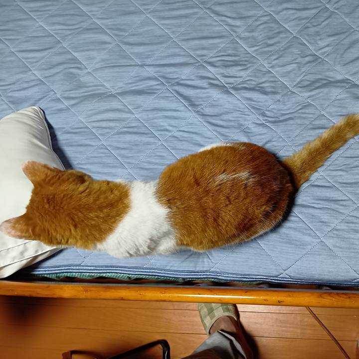 08902d37 2637 4fc8 9388 2d7e8fbf5e6b 1756452696079