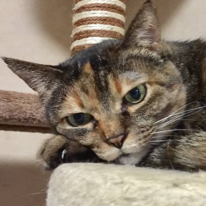 08904091 9c64 43a9 bd62 63be32774e78 1555984138775