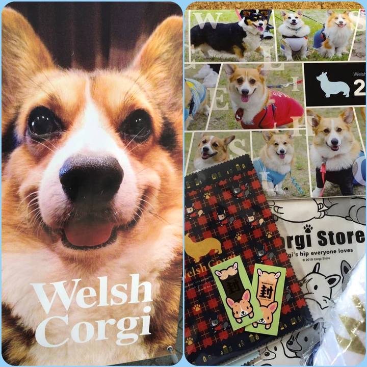 08904d55 f1f6 40ad 8ea2 54bb9fedf693 1568525744026