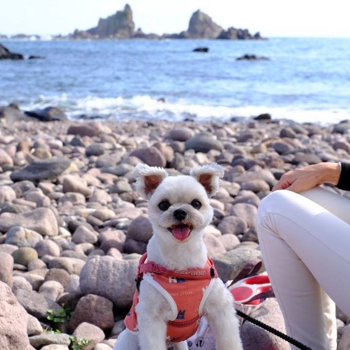 08907844 8480 46f2 91bb bcabc461d4b7 1731849573406