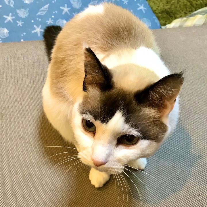 08908d49 259e 41cf 8121 621ba6b5482e 1576749527268