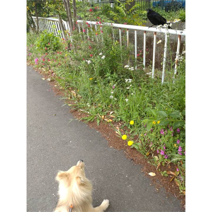 0890c47e 33bb 46bb 9054 d5c336e58254 1746779729529