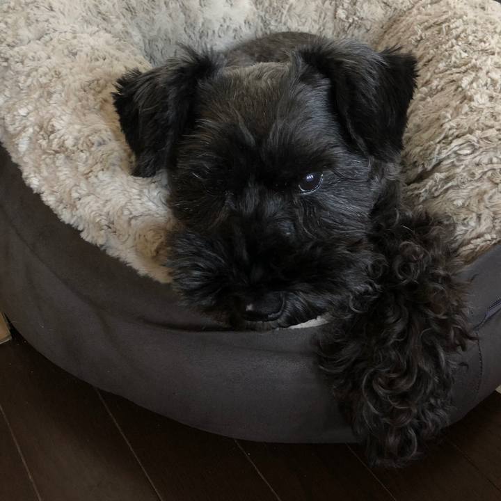 0890d626 011a 46c4 9610 847689747964 1599513544252