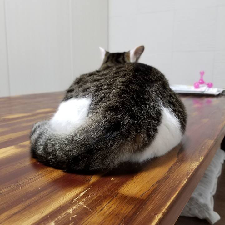 0890dbfd d8d4 48f4 a0cb 2d8f28bb37de 1623791714897