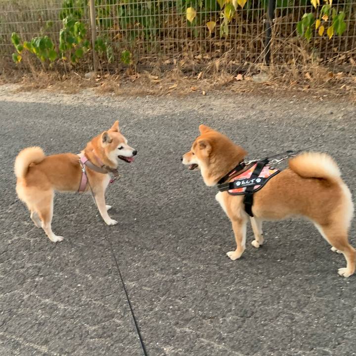 0890e0a4 b2ca 4840 ab34 48a362dc3ffe 1698323303654