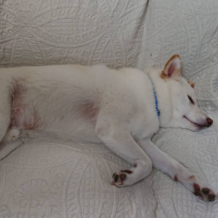 08916019 5796 4fa0 a74f d01c655ea97e 1568724771164