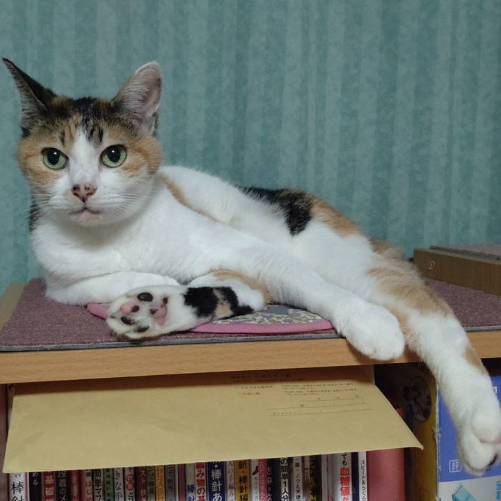 08917e4c 1d0b 4902 ba7f 042c40b361e9 1695122756744