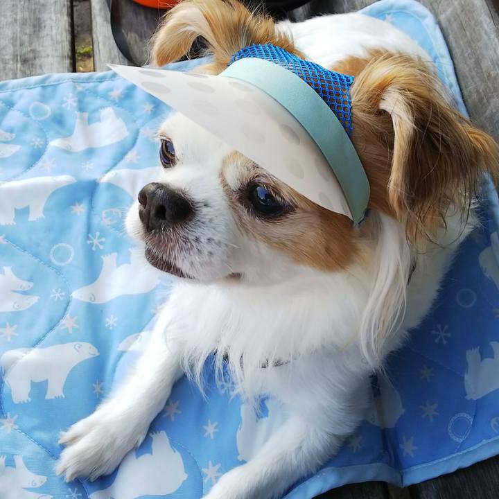 0891c5f2 801e 4877 804c a78adfe028ef 1532415641308