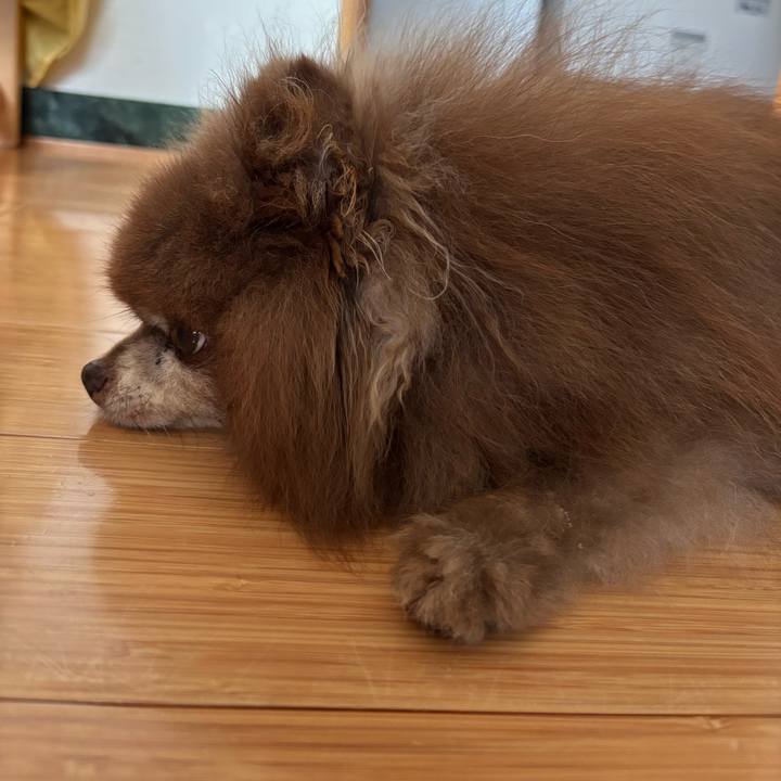 0891ed43 4fe1 41b4 97b8 f9f2edad9180 1754687056248