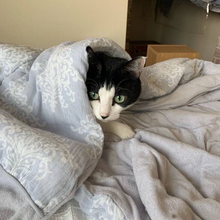 08921f2c 6dcf 4dc6 bb1c 45ae9f55b3a2 1698450918641