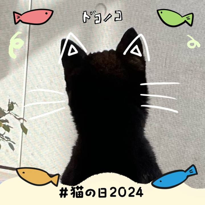 08924a22 1557 4dff b3b4 ab884c58c661 1708600029954