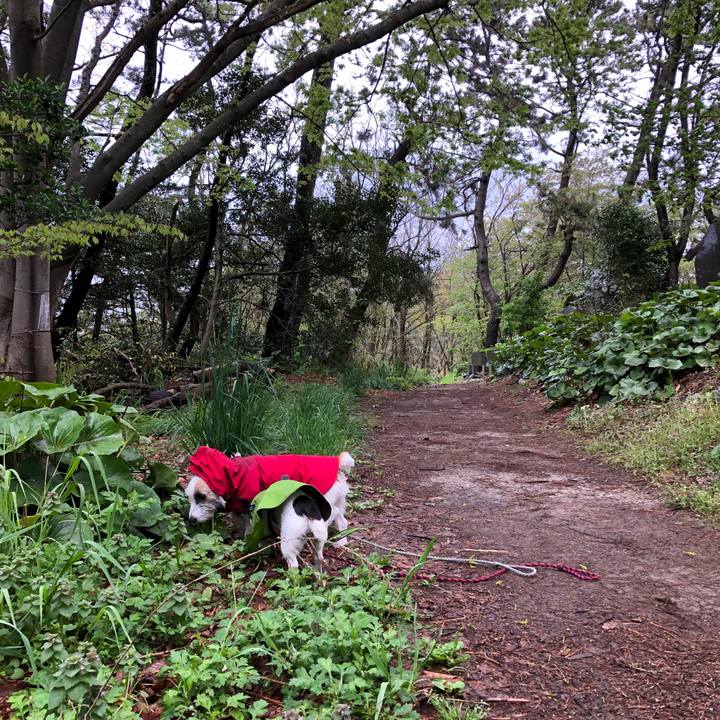 08926f75 eaf7 4ed3 9af9 f7f1f7f74fff 1556324438814