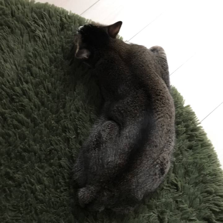 089279ce e919 4679 88fa ce0ebd449d7b 1518401820964